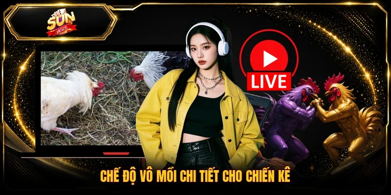 Chế độ vô mồi chi tiết cho chiến kê