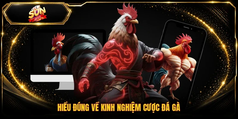 Hiểu đúng về kinh nghiệm cược đá gà
