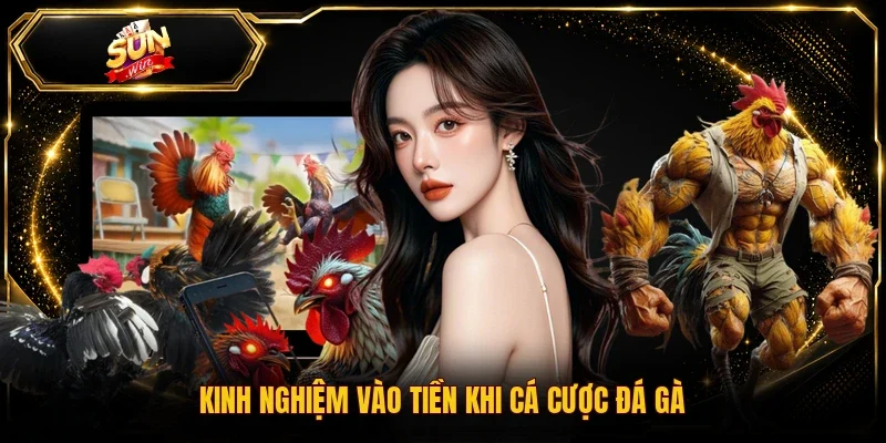 Kinh nghiệm vào tiền khi cá cược đá gà