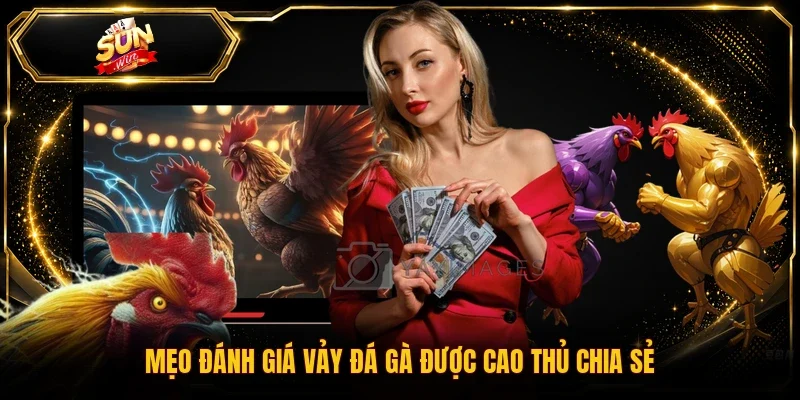 Mẹo đánh giá vảy đá gà được cao thủ chia sẻ