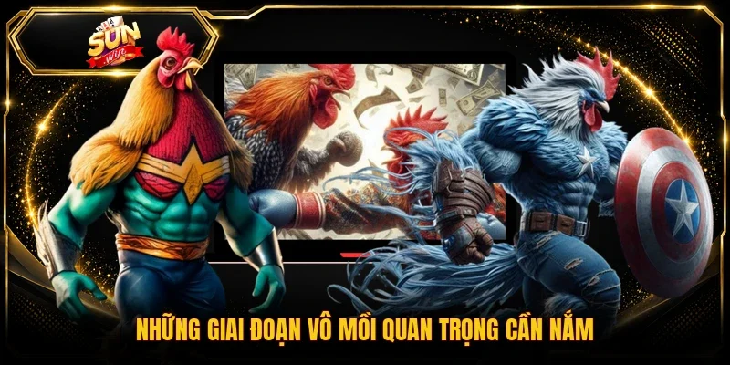 Những giai đoạn vô mồi quan trọng cần nắm