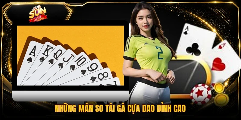 Những màn so tài gà cựa dao đỉnh cao