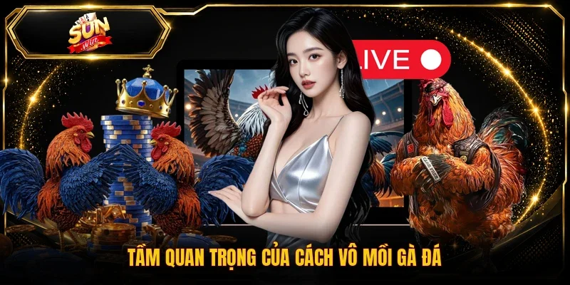 Tầm quan trọng của cách vô mồi gà đá