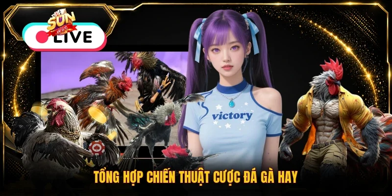 Tổng hợp chiến thuật cược đá gà hay