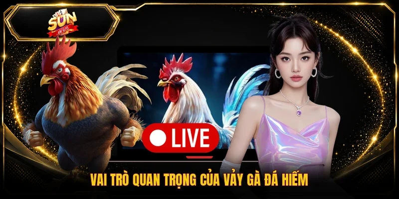 Vai trò quan trọng của vảy gà đá hiếm